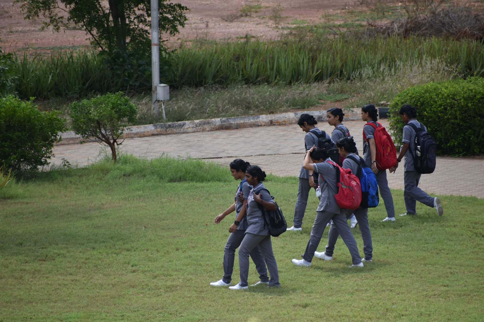 Campus