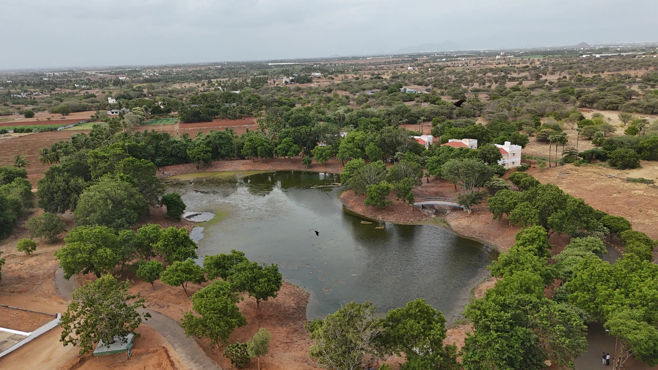 Campus View