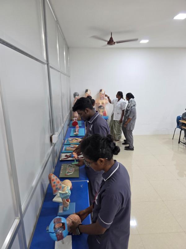 Clinical Skills and Patient Care Simulation
