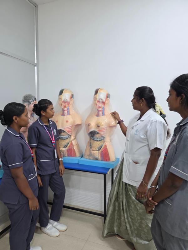 Students Performing Experiments